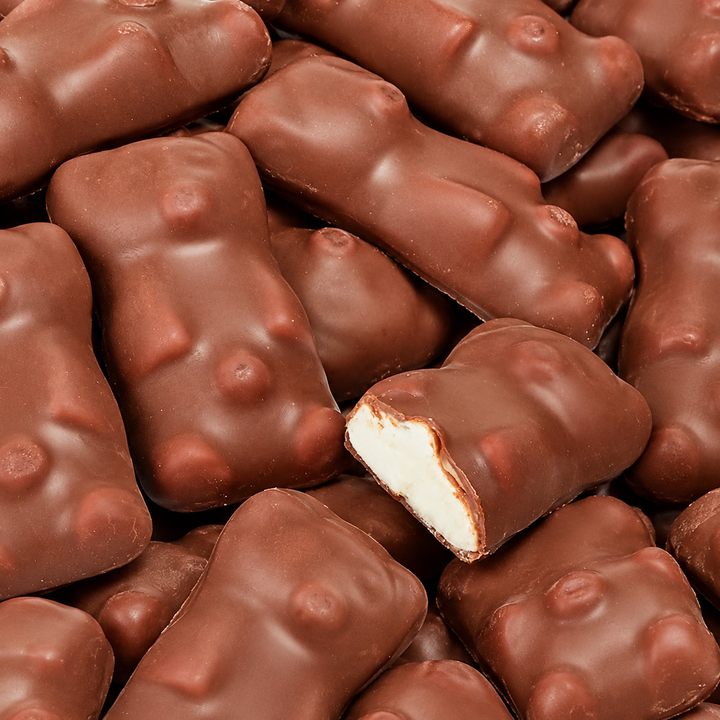 Oursons guimauve chocolat lait (lot de 5)