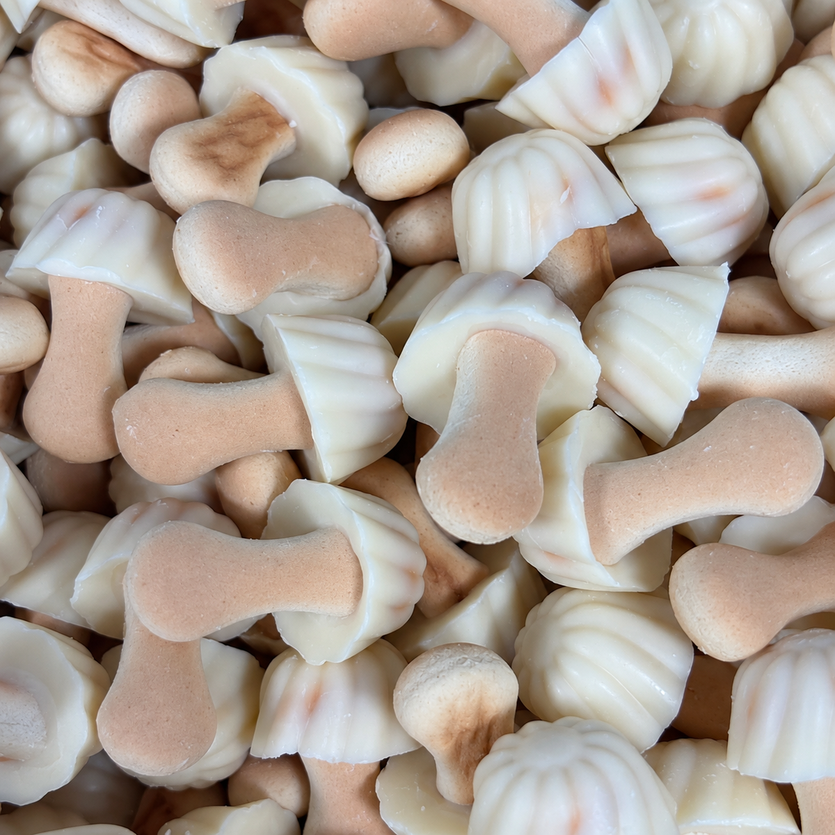 Champignons biscuit chocolat blanc (100g)