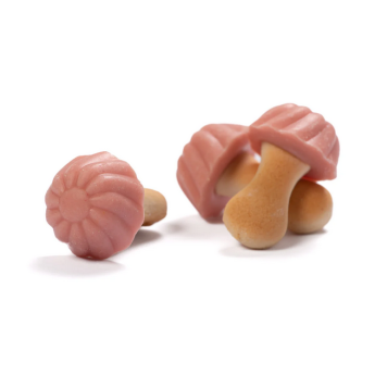 Champignons biscuits fraise (lot de 10)