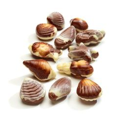 Chocolats fruits de mer praliné (lot de 5)