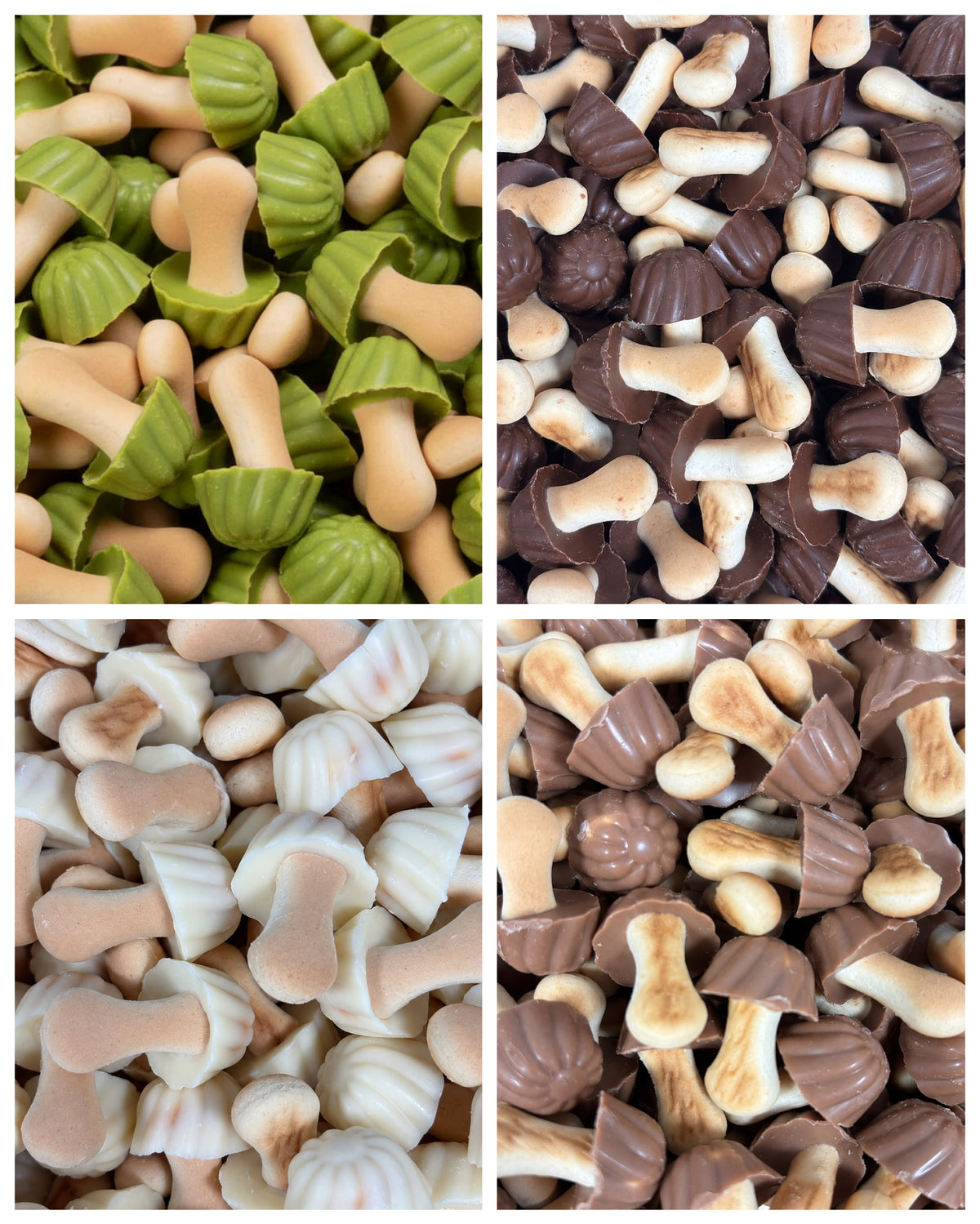 Champignons chocolat