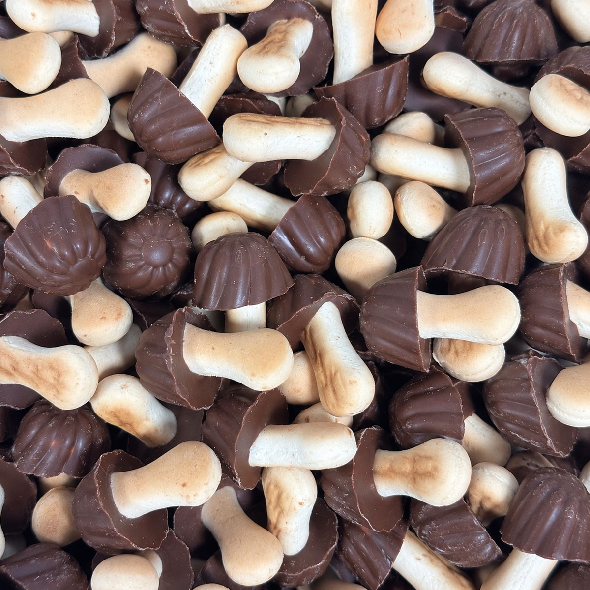 Champignons biscuit chocolat noir (100g)