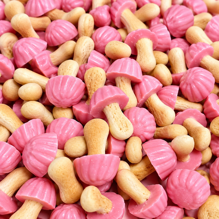 Champignons biscuits fraise (100g)