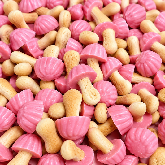 Champignons biscuits fraise (100g)