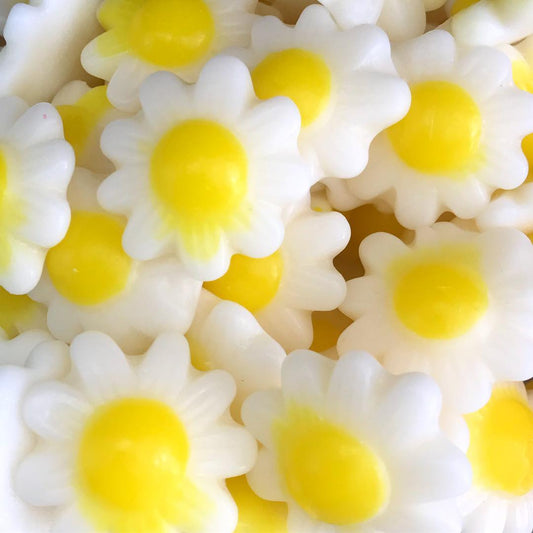 Marguerites lisses (100g)
