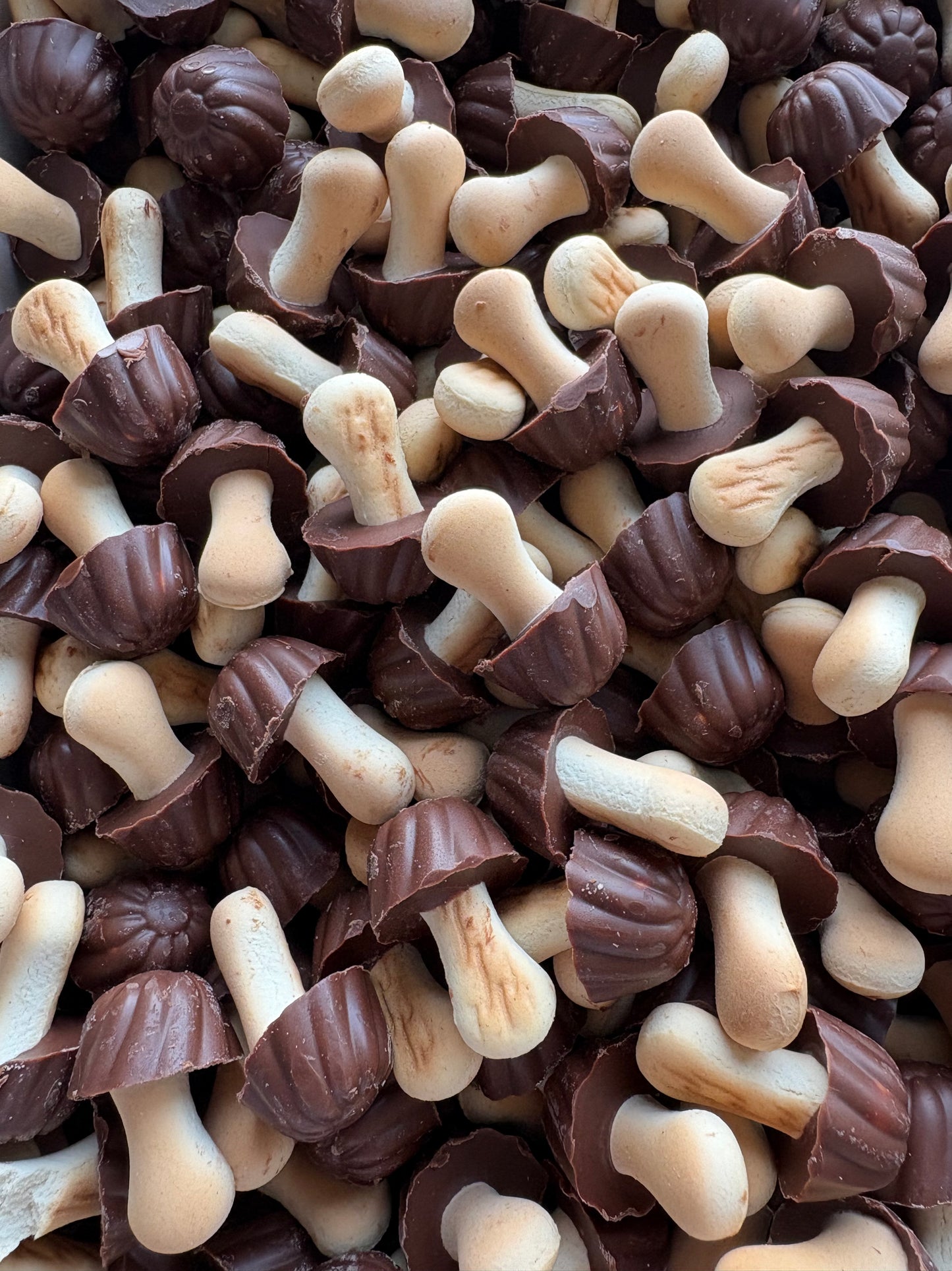 Champignons biscuit chocolat noir (lot de 10)