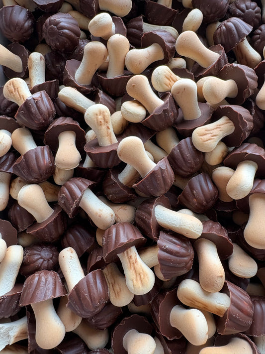 Champignons biscuit chocolat noir (lot de 10)