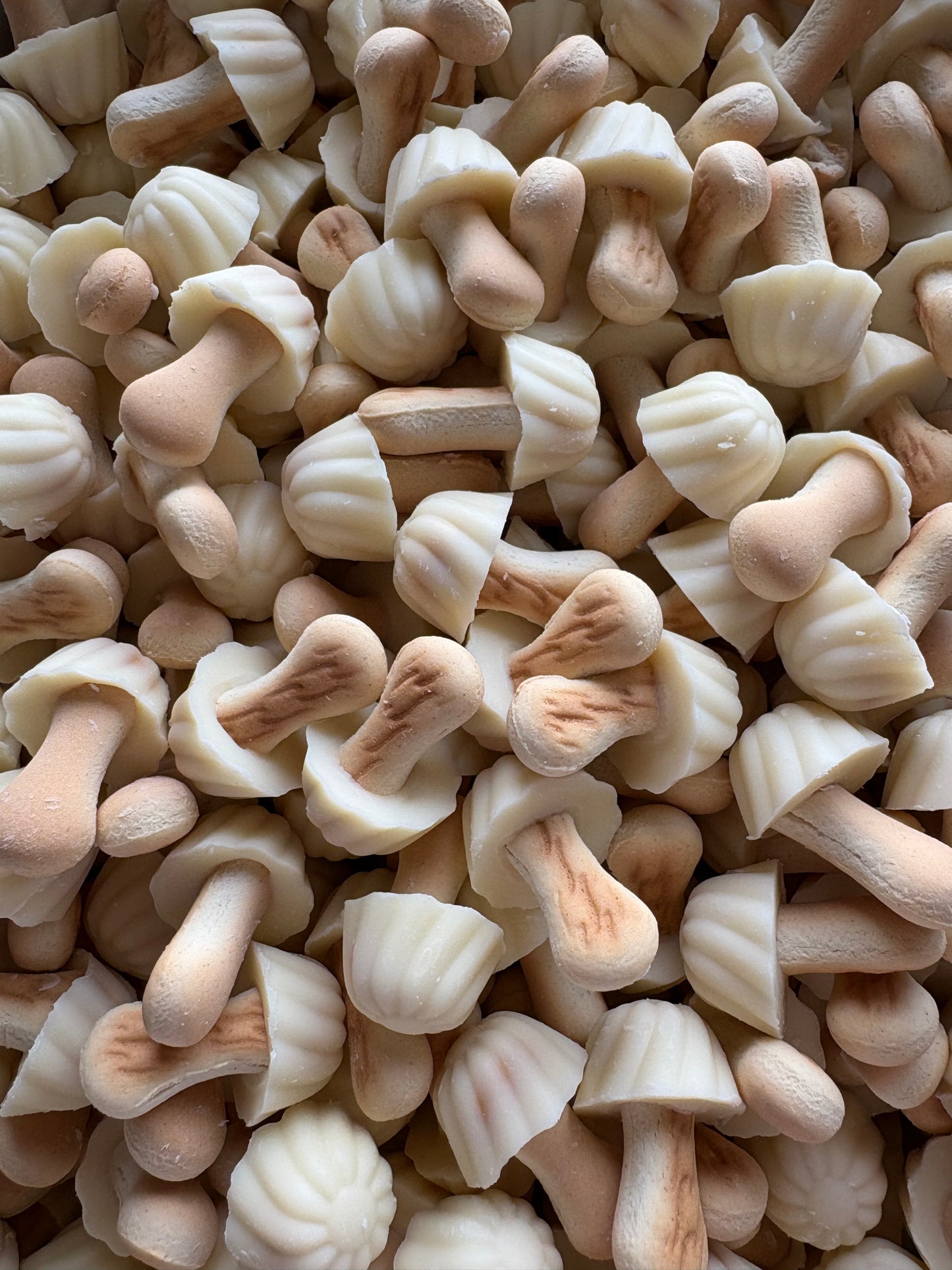 Champignons biscuit chocolat blanc (lot de 10)