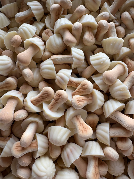 Champignons biscuit chocolat blanc (lot de 10)