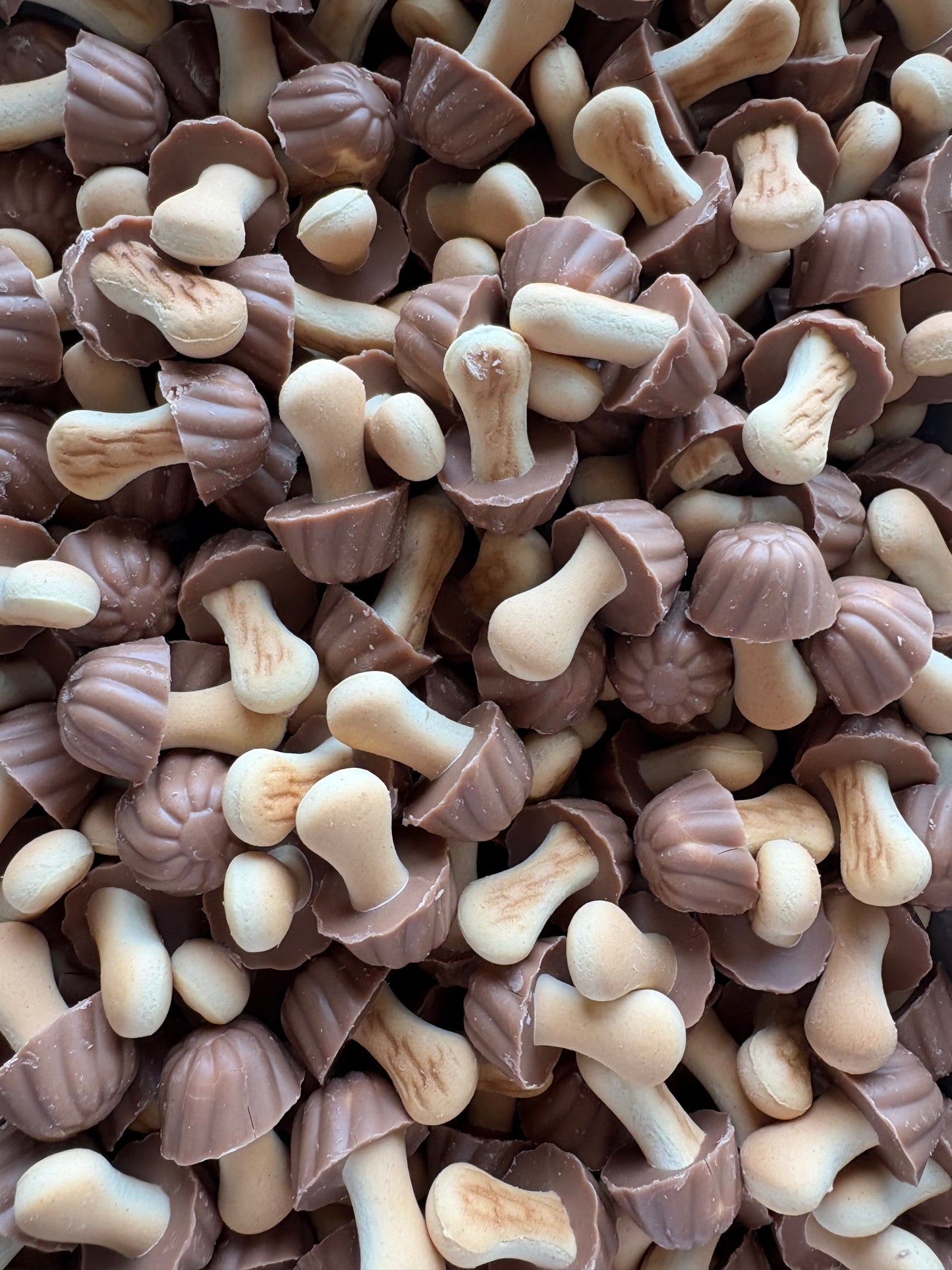 Champignons biscuit chocolat lait/caramel (lot de 10)