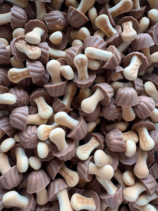 Champignons biscuit chocolat lait/caramel (lot de 10)
