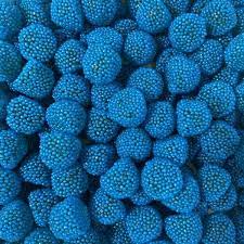 Mûres bleues (100g)